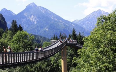 Baumkronenweg Ziegelwies