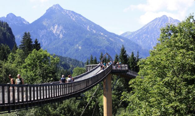 Baumkronenweg Ziegelwies