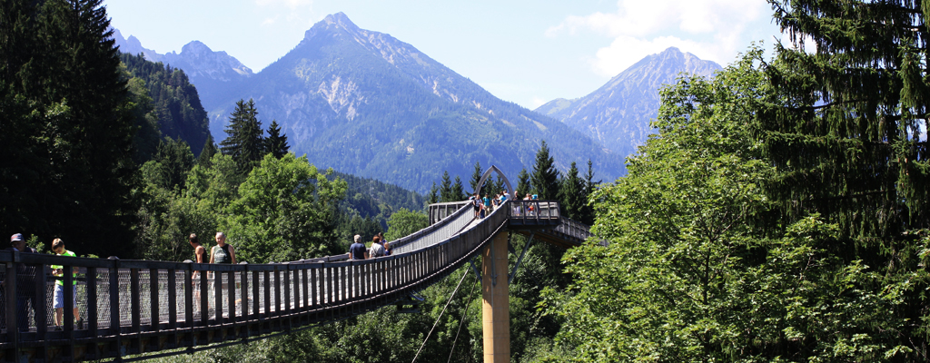 Baumkronenweg Ziegelwies