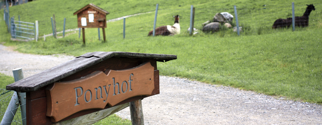 Ponyhof Scheidegg