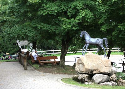 Ponyhof Scheidegg