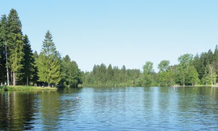 Waldsee Lindenberg