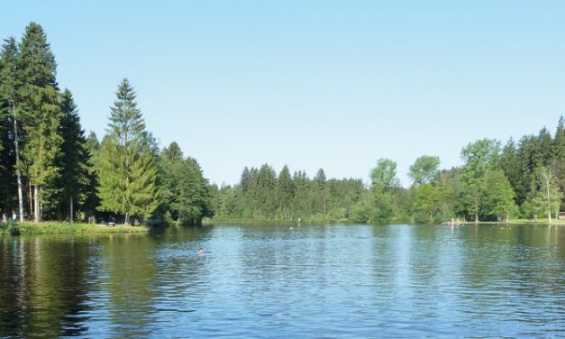 Waldsee Lindenberg