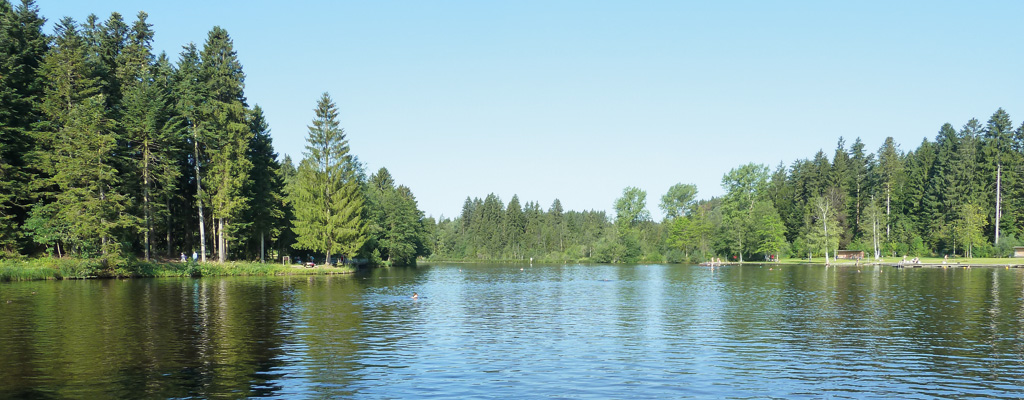 Waldsee Lindenberg